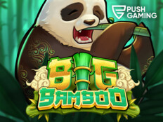 Best bet casino free slots79